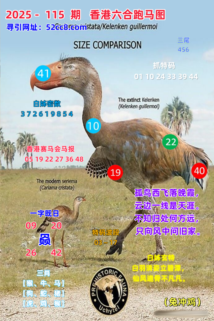 香港六合跑马图115期