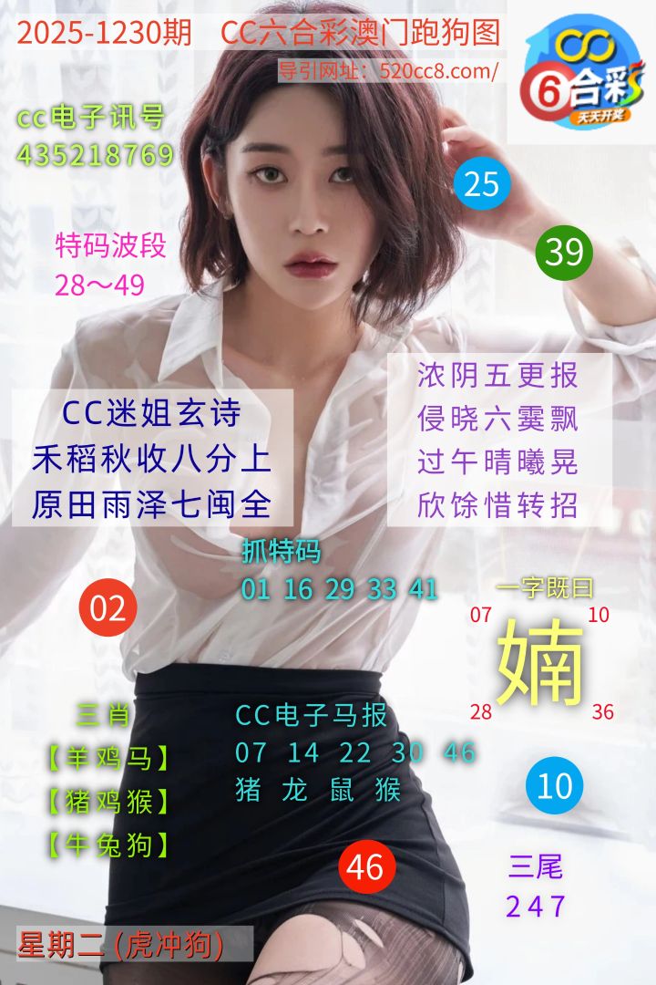 CC六合澳门跑马图1230期
